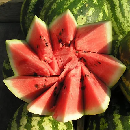 Masseria Nucci - Autentica Dimora Storica منزل ريفي Nardò